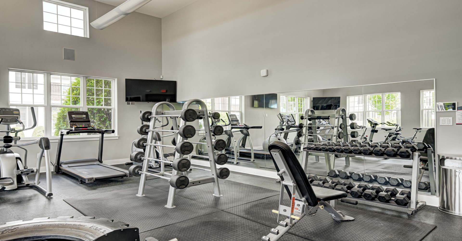 The Hamilton Gym